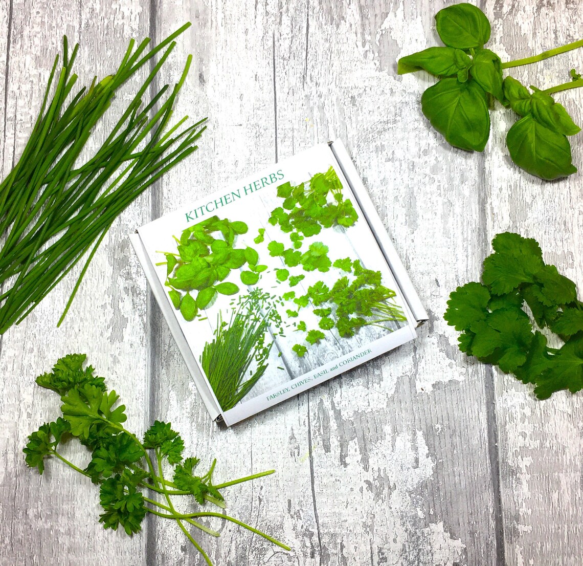 Kitchen Windowsill Herb Garden Organic Seed Kit Gift Etsy