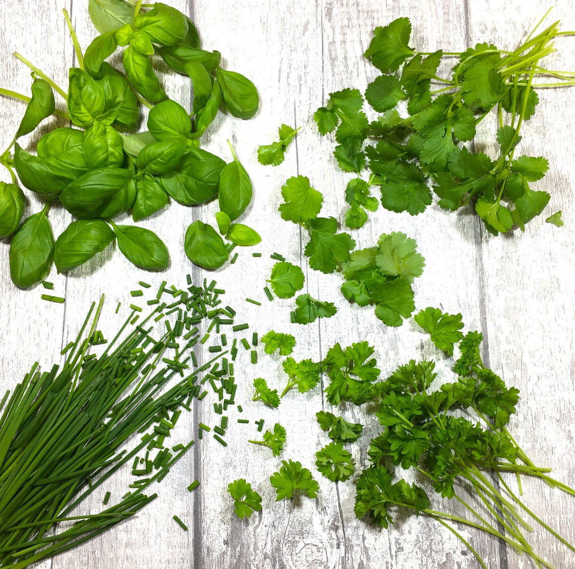 Kitchen Windowsill Herb Garden Organic Seed Kit Gift Etsy