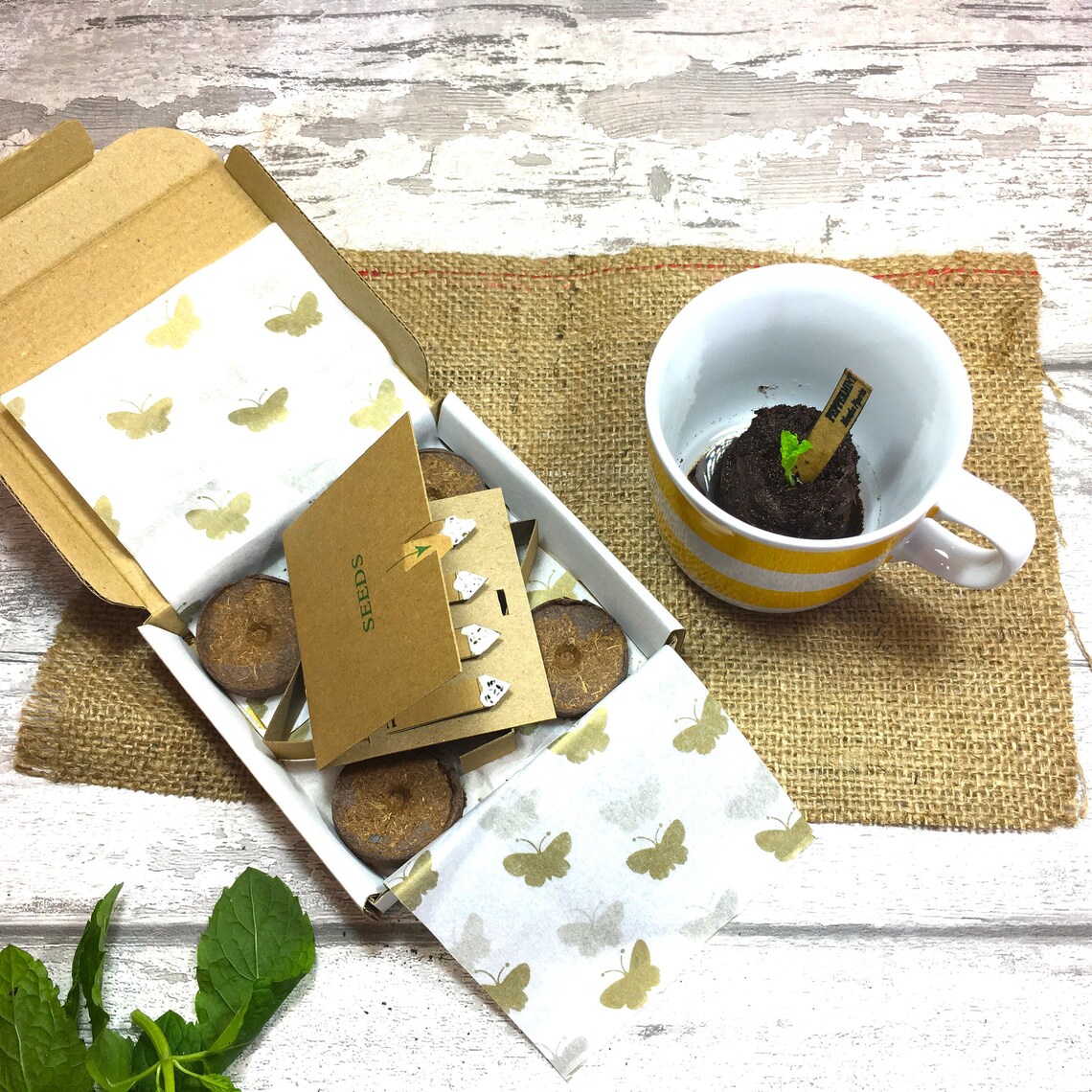 Herbal Tea Seed Gift Box Grow Your Own Mindfulness Present. Etsy UK