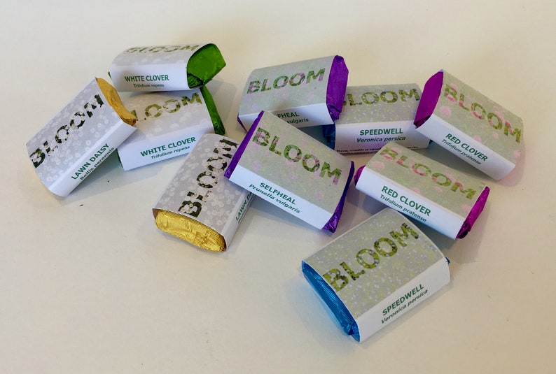 Wildflower Seed Bombs Etsy UK