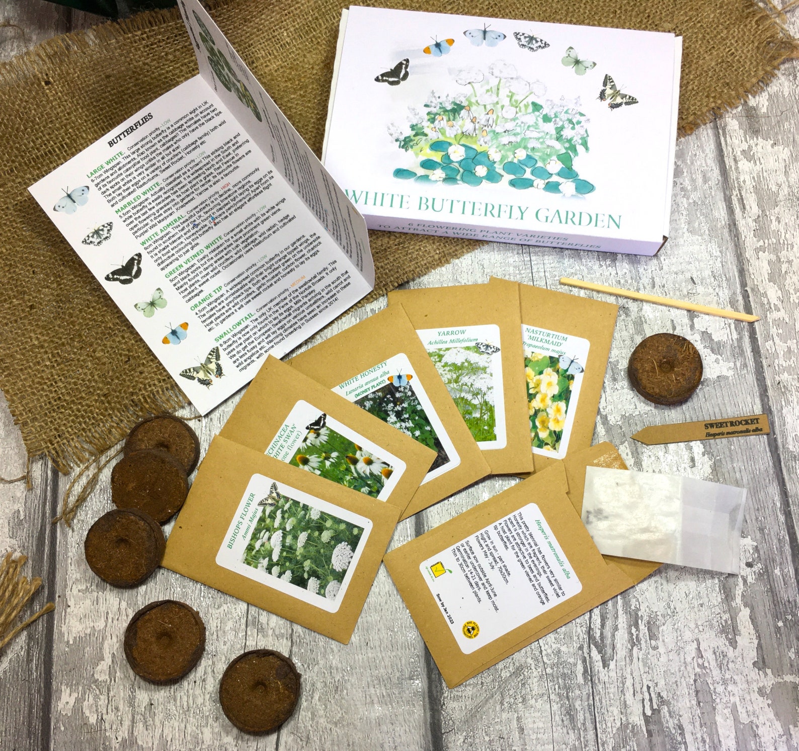 White Butterfly Garden Kit Grow your own flowers Gift Seed Etsy