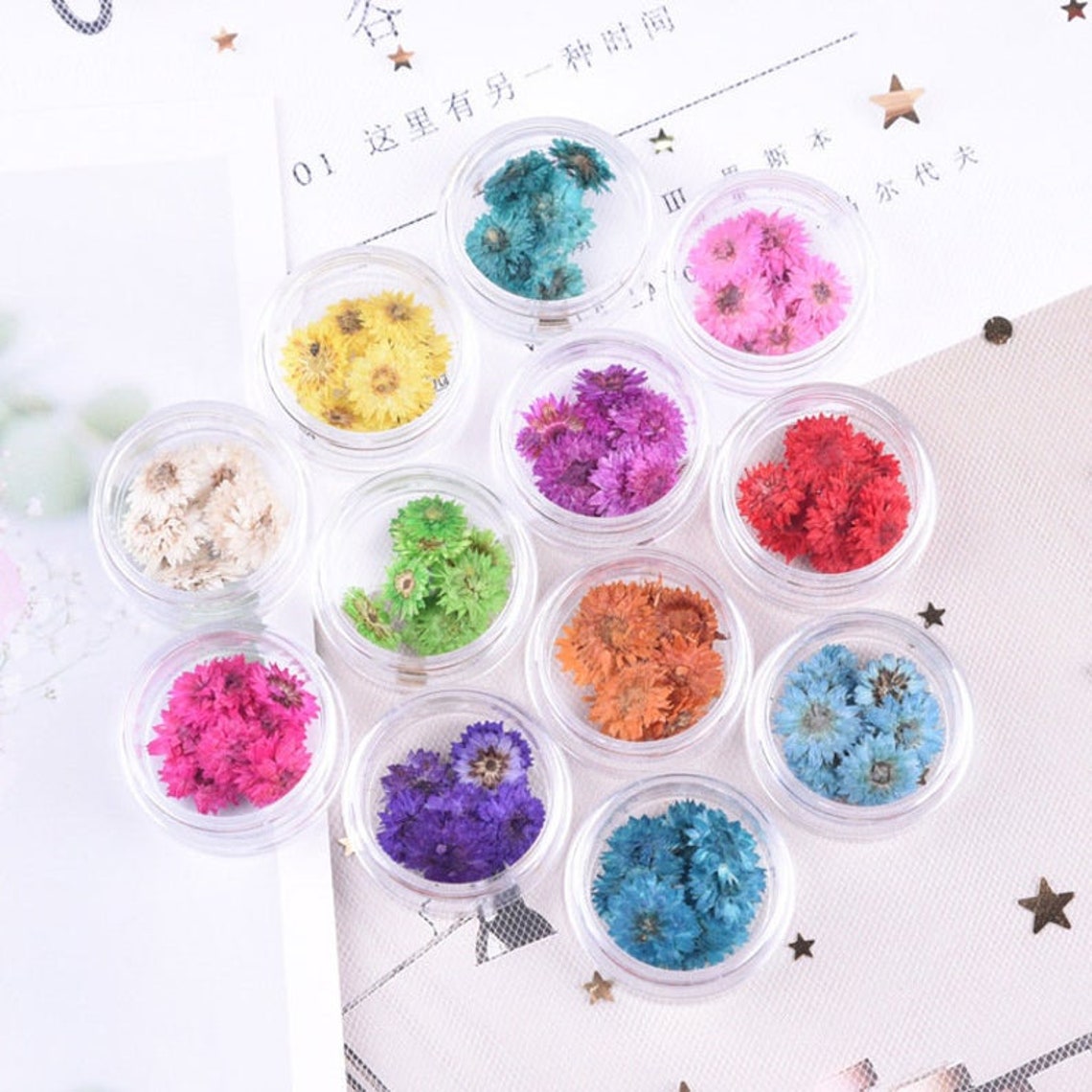 10pcs/box Dried Pressed FlowersReal dried flowers Etsy