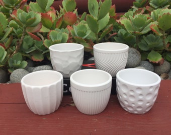 10/20x Small White Patio Pottery Pot Planters - DIY Succulent Favour - Succulent Pots