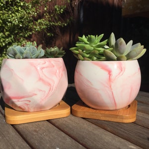 May include: Two pink and white marbled ceramic succulent planters with wooden bases. The planters are filled with green succulents.