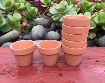 Mini Terracotta Planters - Set of 20/80/160 - 5.5cm Diameter, 5cm Height, Succulent & Cactus Pots with Drainage - DIY Succulent Favours