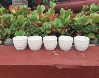 White Patio Pottery Pots Planters Set of 10/20 - DIY Succulent Planting Kit - Succulent Favors