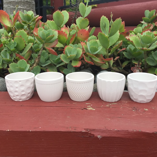 White Patio Pottery Pots Planters Set of 10/20 - DIY Succulent Planting Kit - Succulent Favors