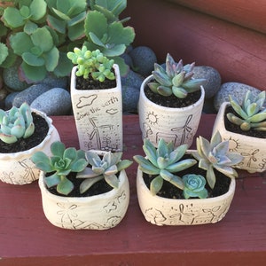 6x Succulent cactus ceramic pots planters small size 6 different designs DIY planting succulents