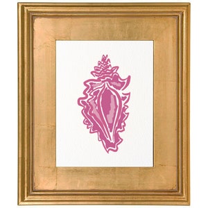 May include: A framed print of a pink seashell with a white background.