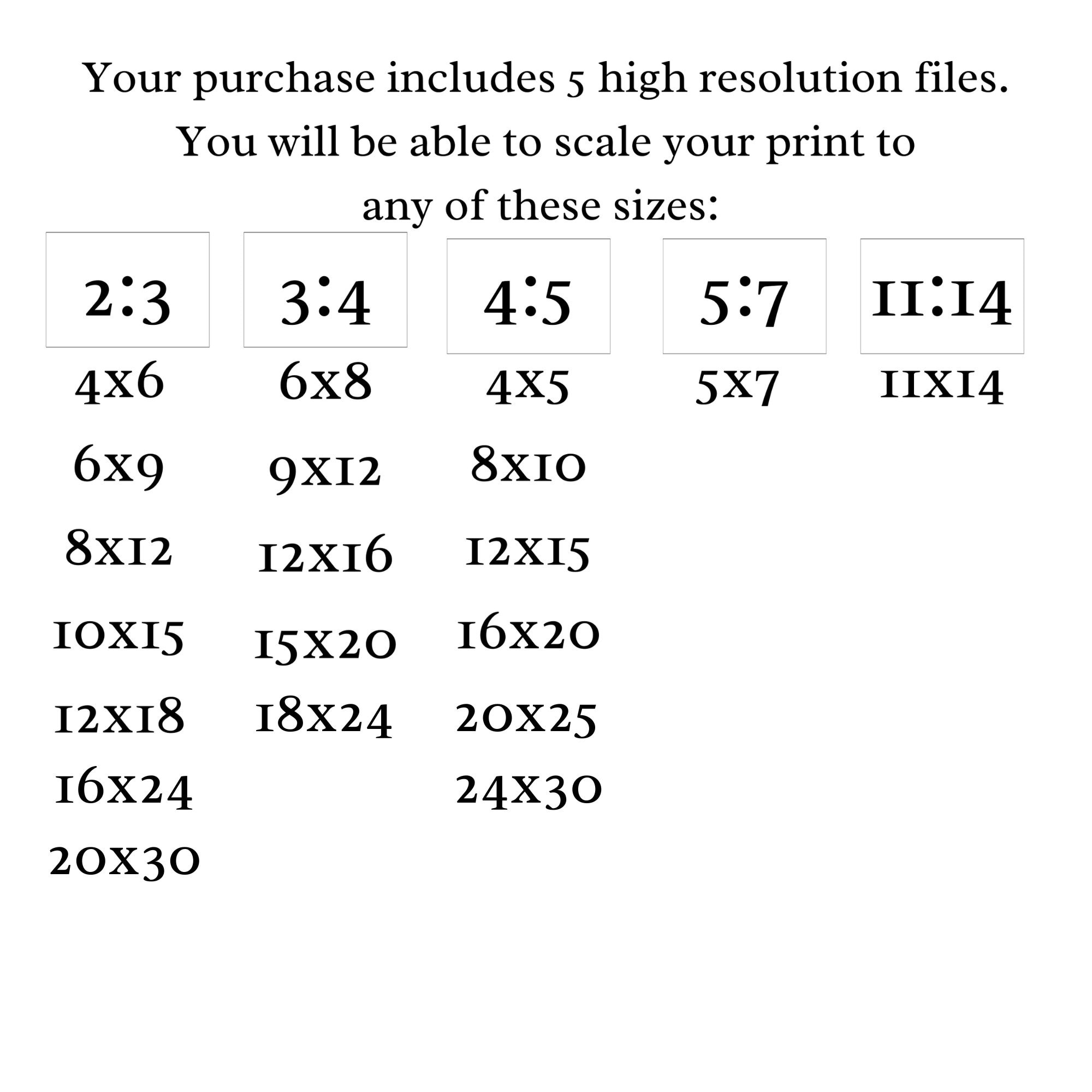 Blue Bird Printable Art Wall Art Blue and White Bird Posters Printable