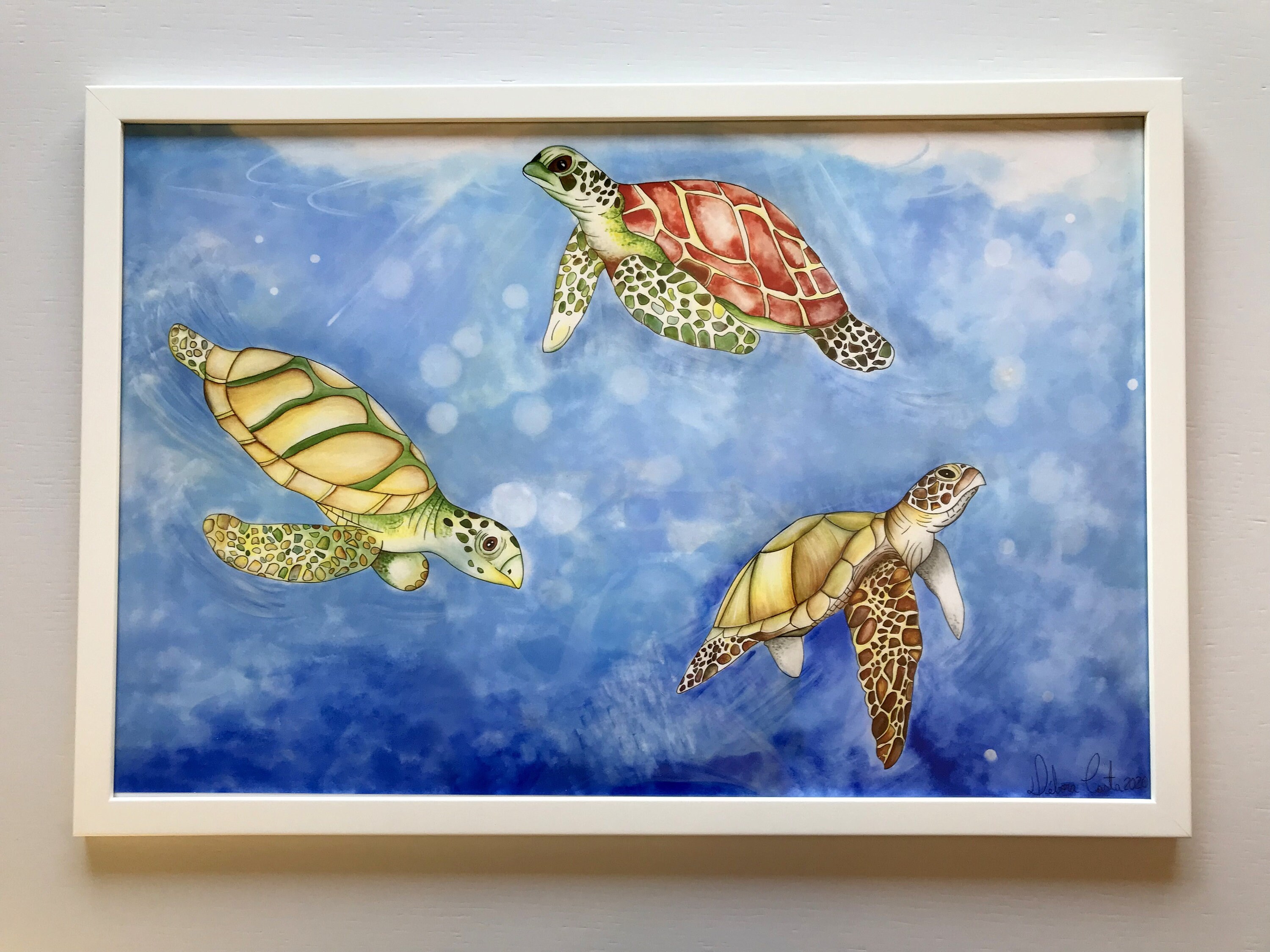 Illustration Turtles, Sea Turtles, Frame, Decoration, Reproduction of the  Original, Limited Edition, Serial Number, Fine Art, Decor - Etsy Israel, image size:3000x2250