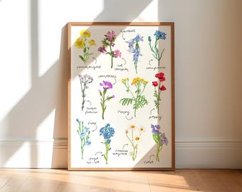 Grafika botaniczna z dzikimi kwiatami, ilustracja kwiatowa