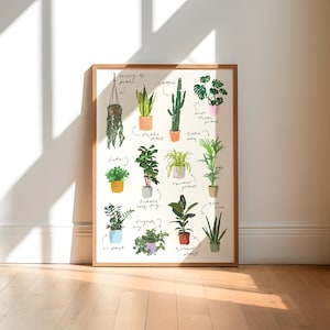 Plant Art Print / Botanical Wall Art / House Plant Print / Plant Modern Illustration / Green Plant Art Print Poster / New Home Gift