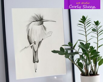 Bird - Original Pencil Drawing A4 | Bird Pencil Sketch | Animals Birds Drawing | Artwork Drawing | Pencil Wall Art