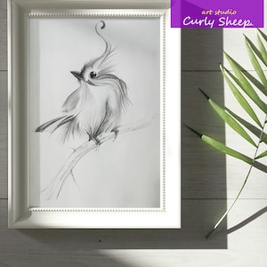 Bird Pencil - Original Pencil Drawing A4 | Bird Pencil Sketch | Animal Drawing | Unique Artwork Drawing | Pencil Wall Art