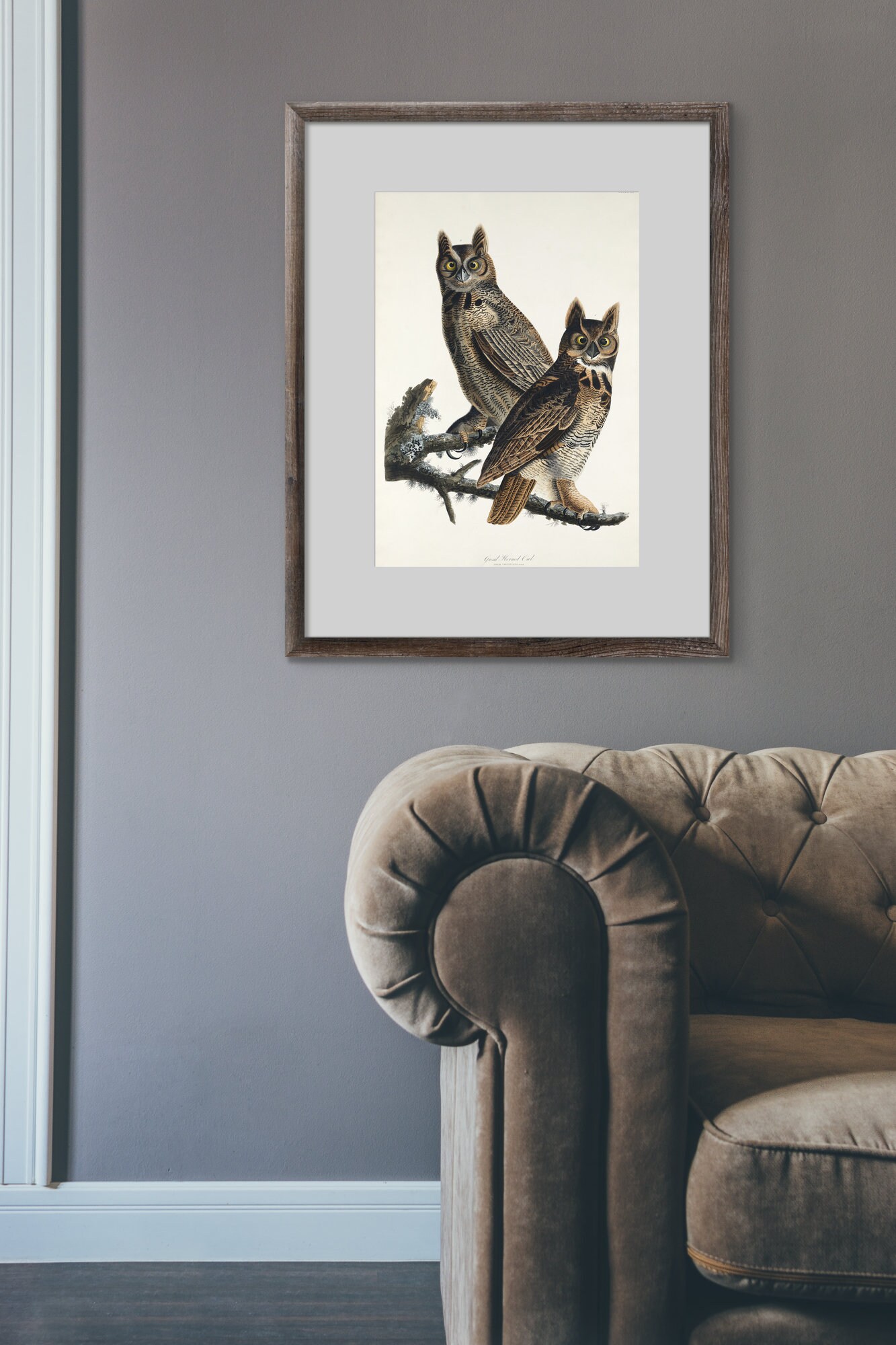 Vintage Great Horned Owl Print - Etsy