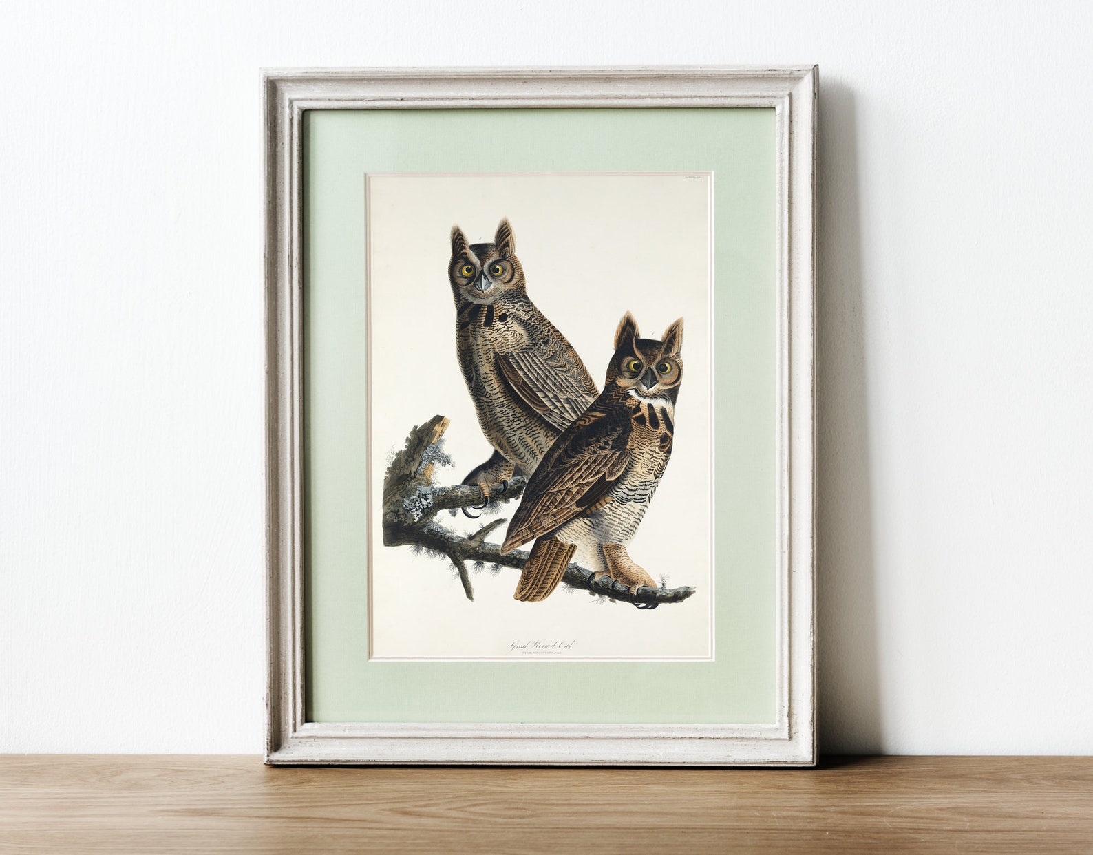 Vintage Great Horned Owl Print Etsy