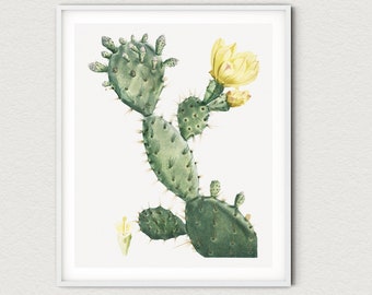 Vintage Aloe Opuntia Polyanthos Print