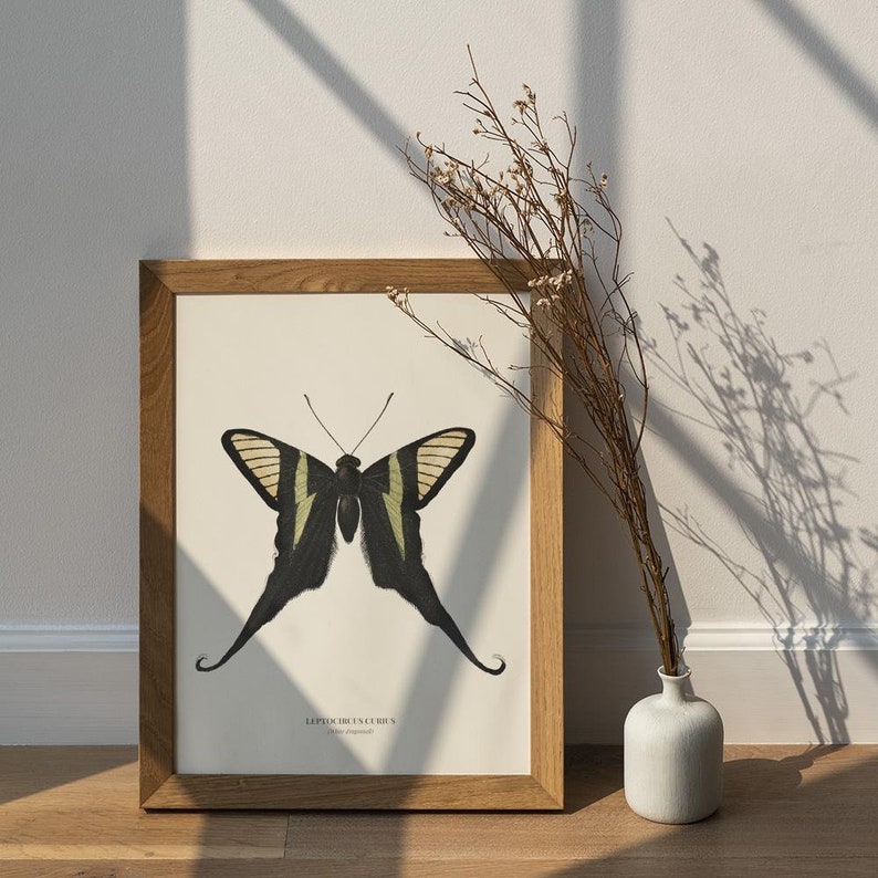 Vintage White dragontail Print Wall Art