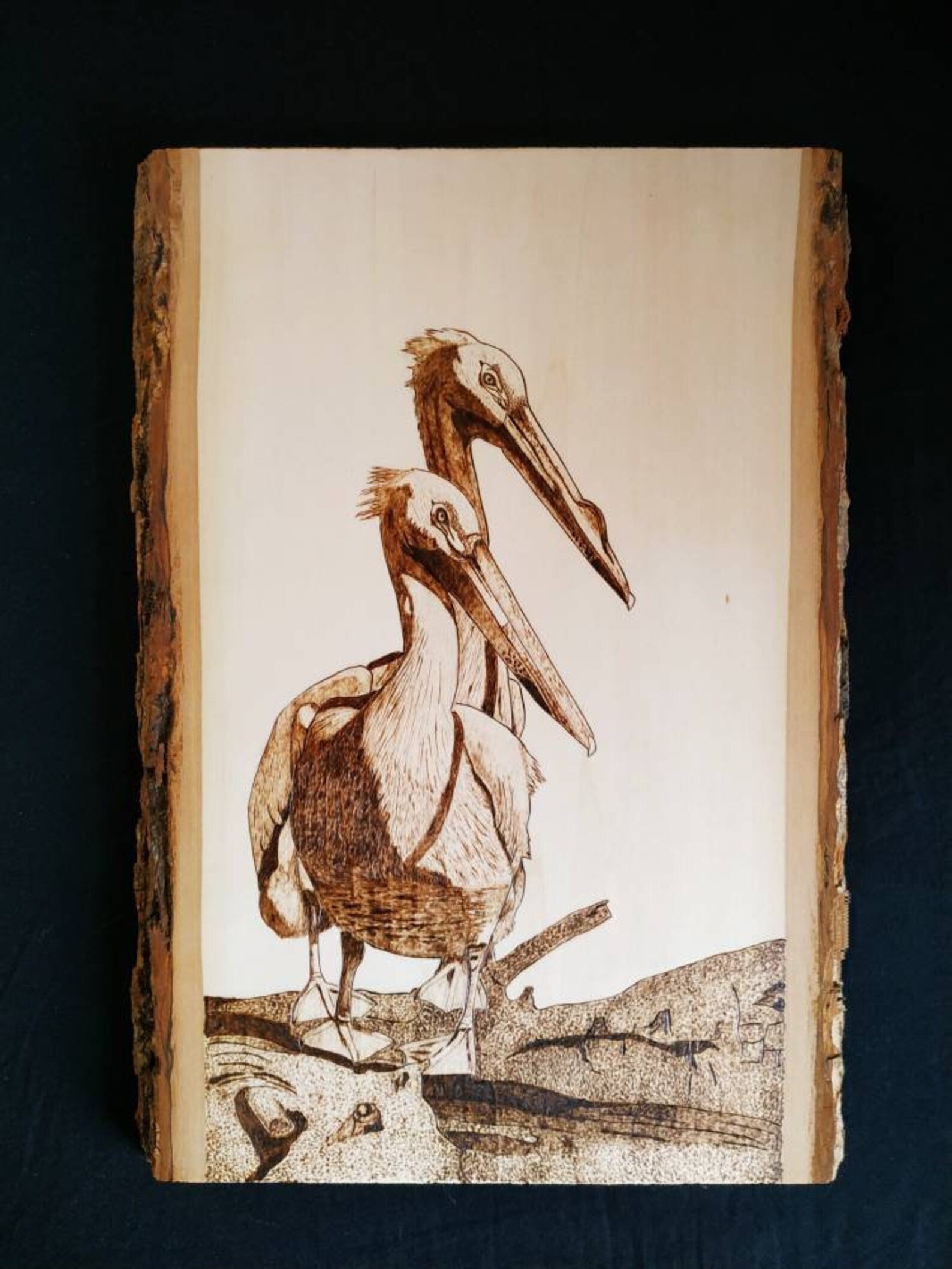 Pelican Wood Burning Display Piece Pelican Art Wall Art Etsy