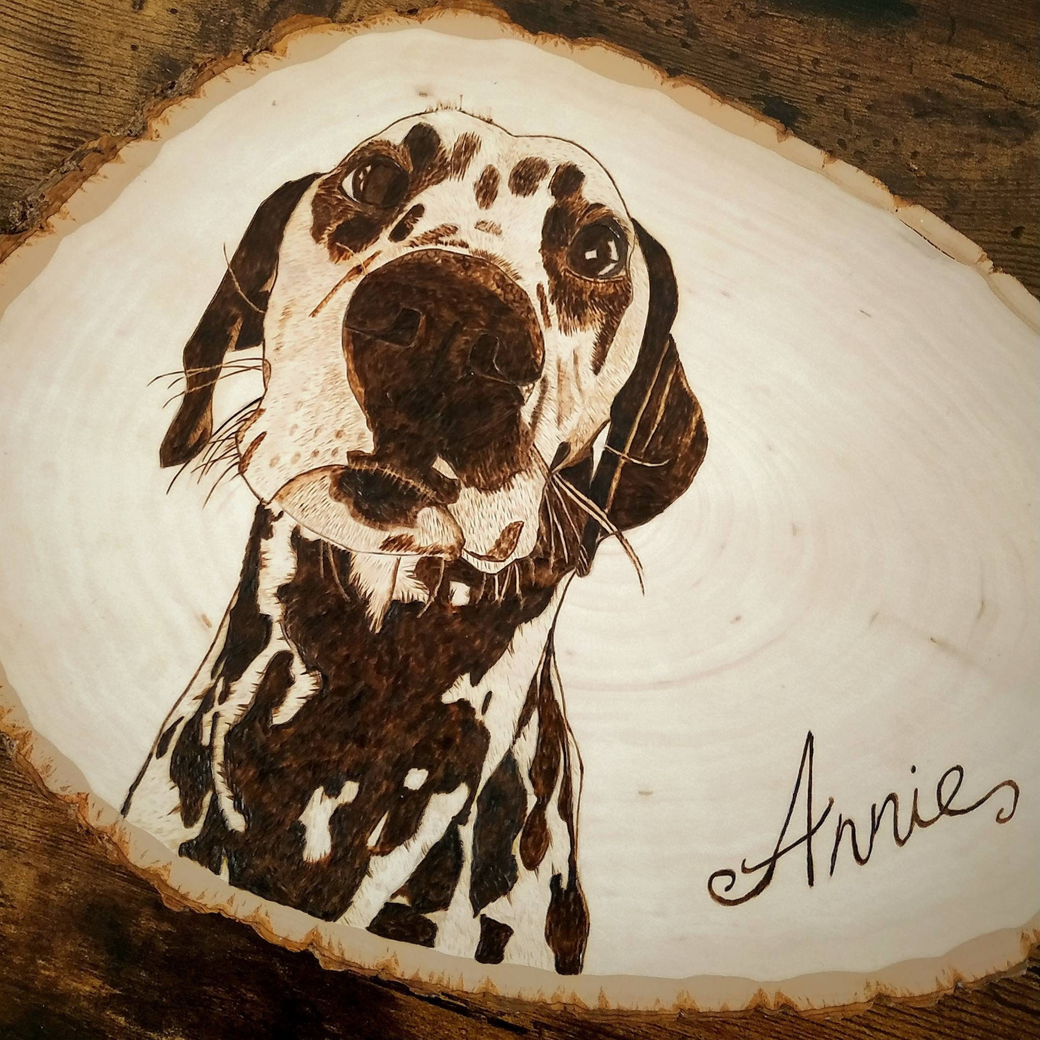 What Happens If A Dog Eats Burnt Wood