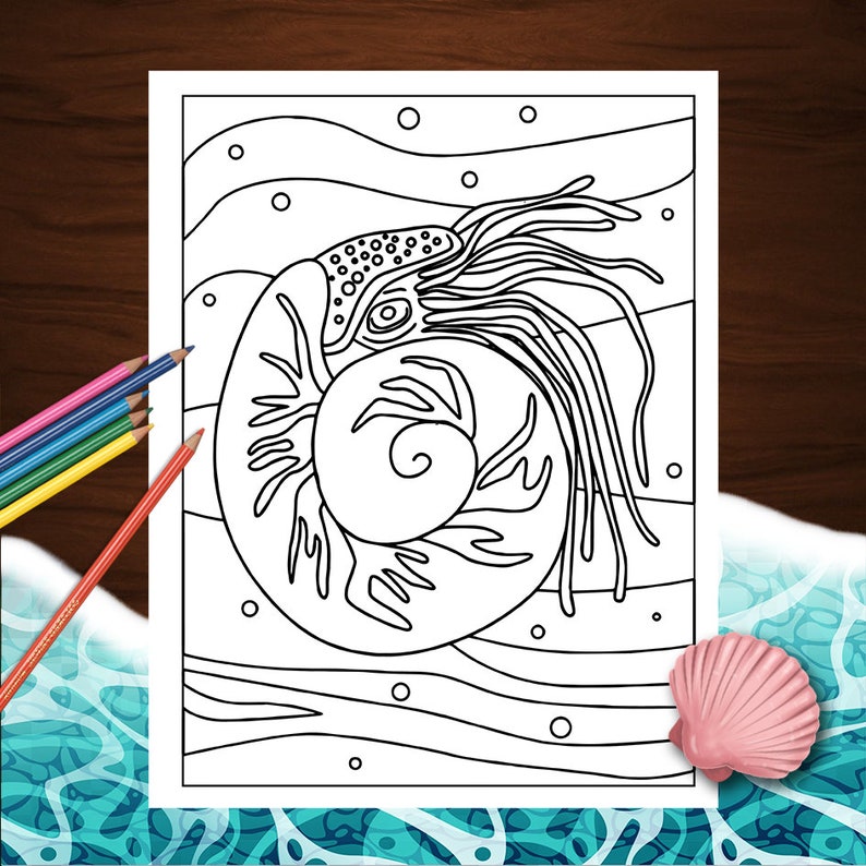 May include: A black and white line drawing of a nautilus shell with tentacles, surrounded by wavy lines and bubbles. This colouring page is perfect for adults and children who enjoy marine life.
