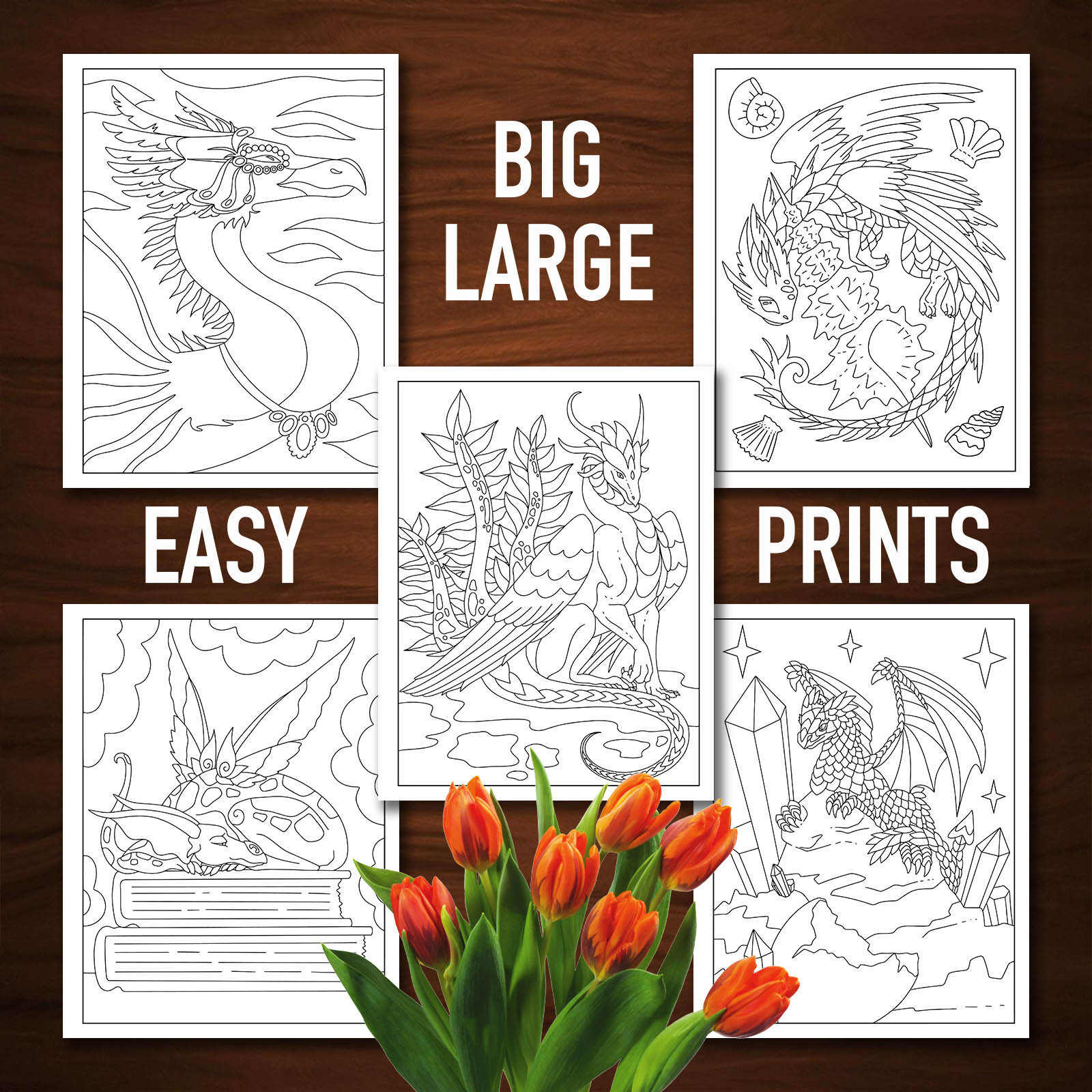 Dragonland Dragons Fantasy Coloring Book 30 Easy Large Etsy