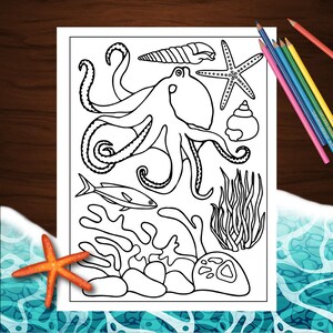 May include: A black and white line drawing of an octopus, starfish, seashells, coral, seaweed, and a fish. The drawing is on a white background.