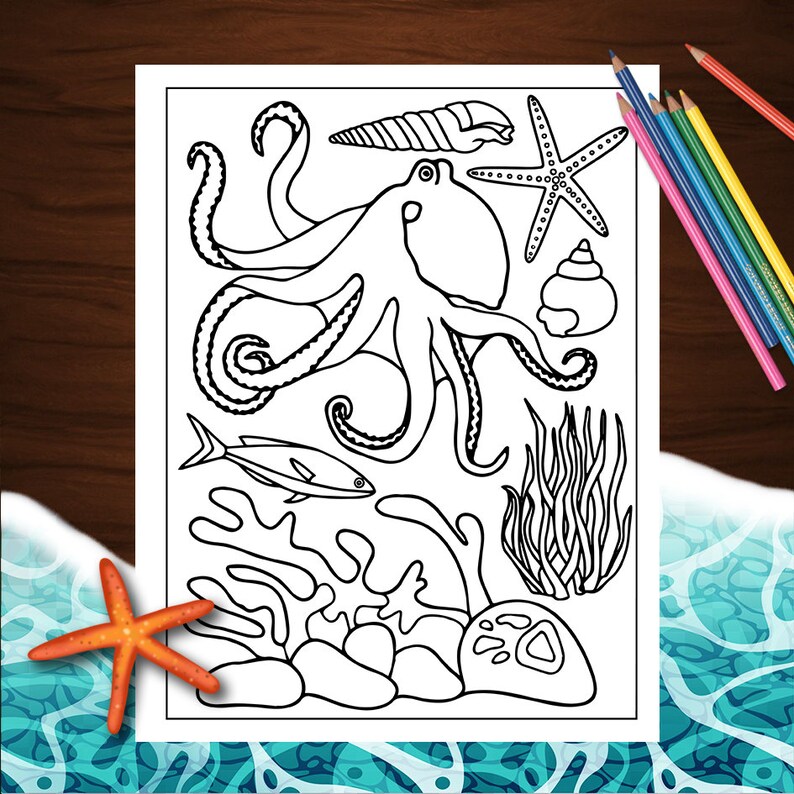 May include: A black and white line drawing of an octopus, starfish, seashells, coral, seaweed, and a fish. The drawing is on a white background.