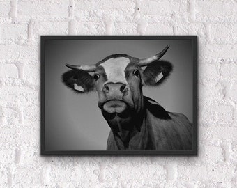 Cloverland Guernsey Milk metal tin sign best wall art living room
