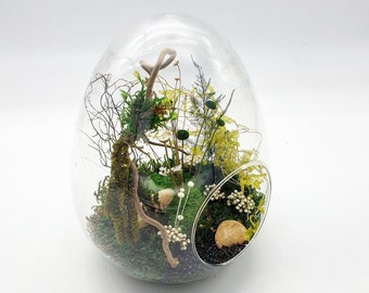 Terrarium Végétal Stabilisé Oeuf