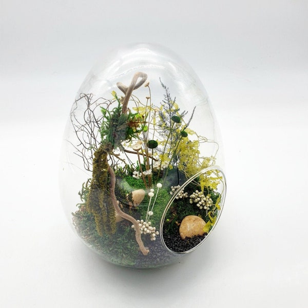 Terrarium Végétal Stabilisé Oeuf