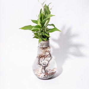 Bulbo de terrário aquático L