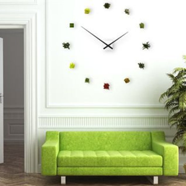 Orologio vegetale stabilizzato