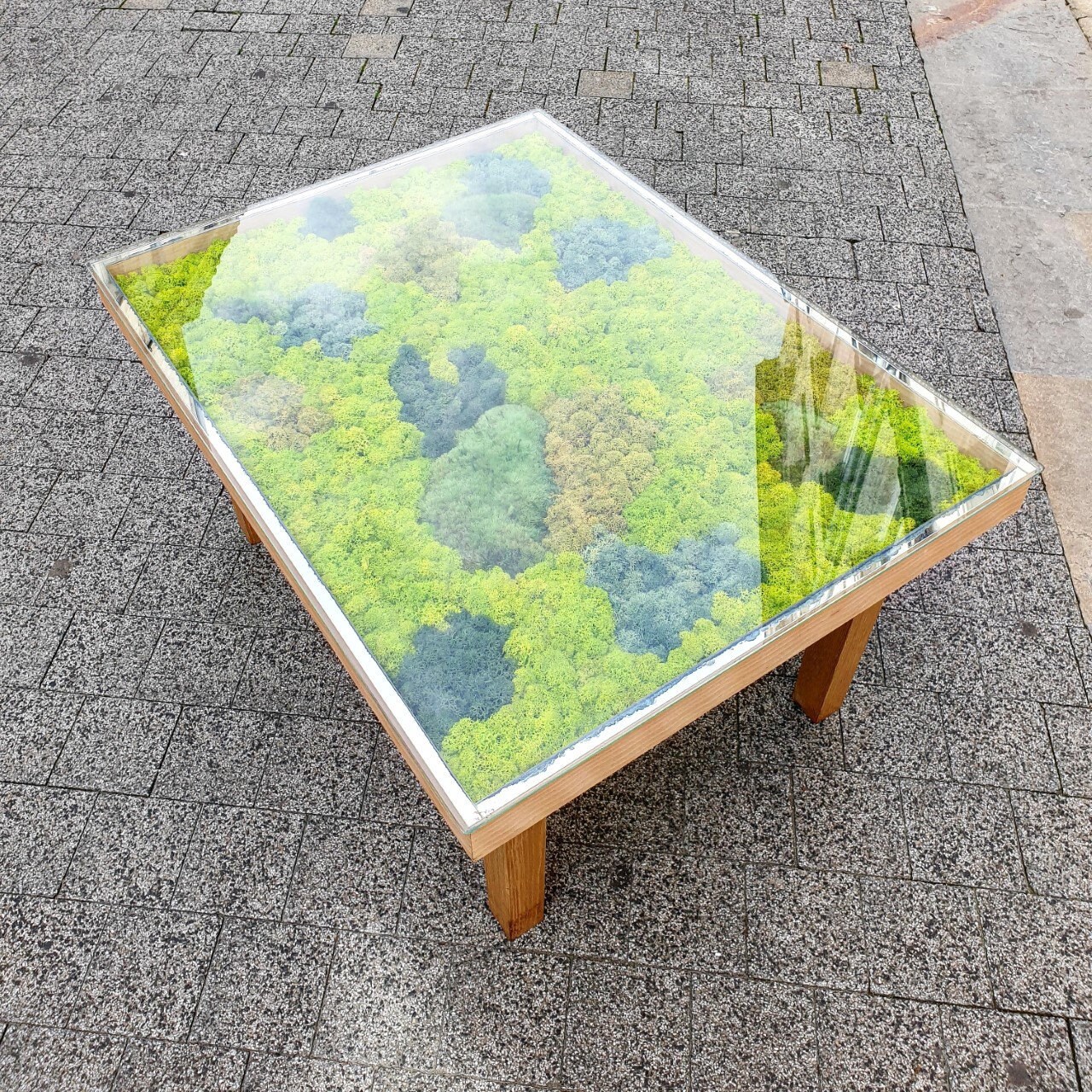 Table Basse Végétale