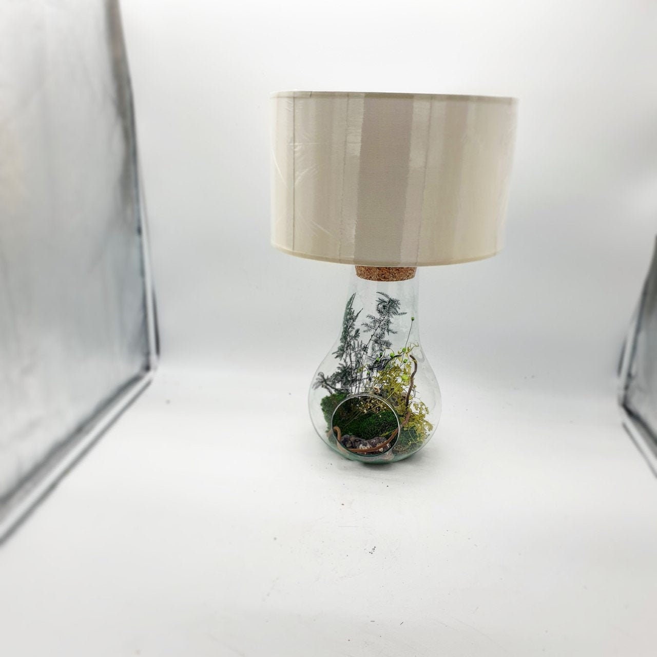 Lampe Terrarium Végétal Stabilisé ou Naturelle