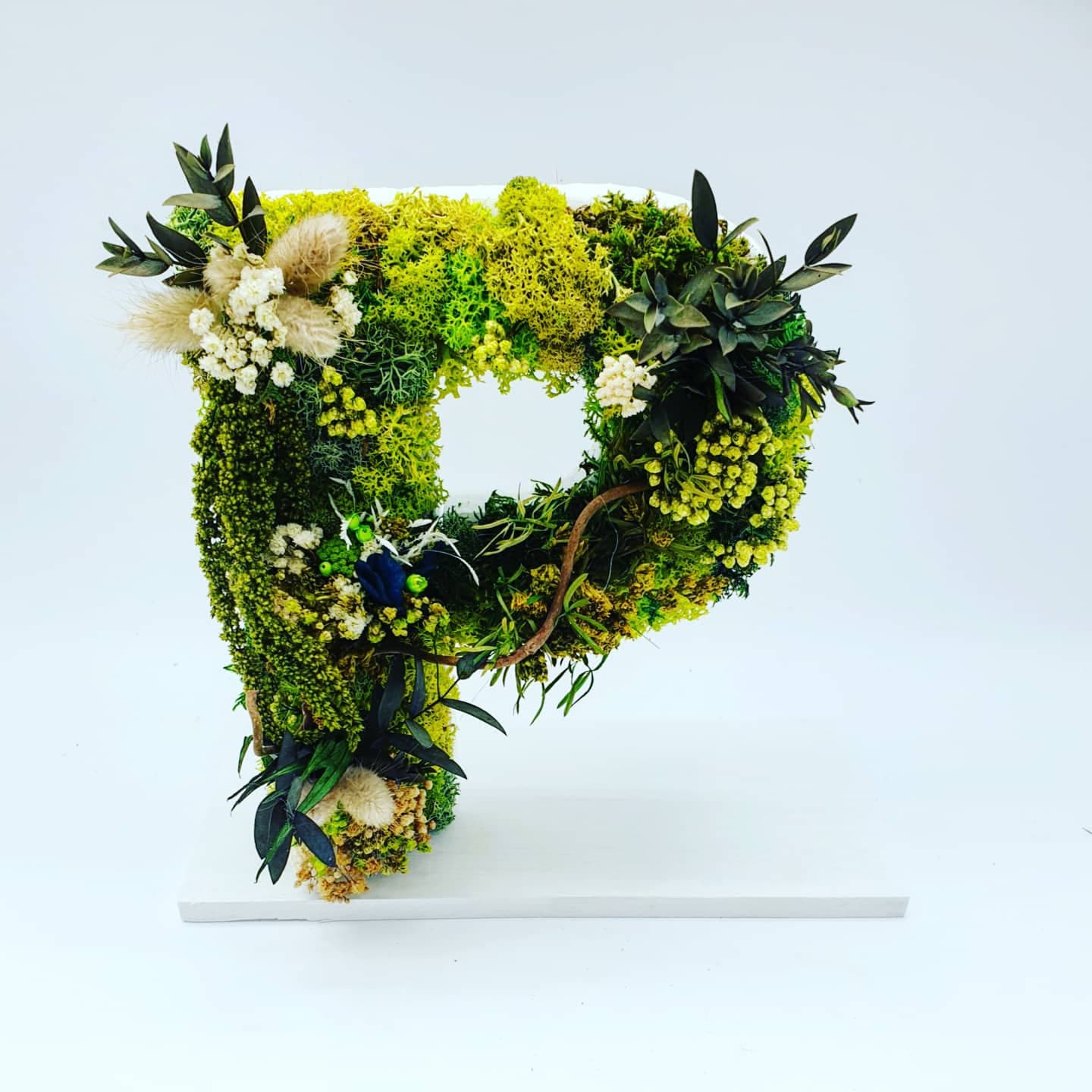 Lettre Végétale Stabilisée