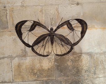 Wrought iron butterfly sculpture, ideal for the garden, a terrace, a gift for men or women, home decor