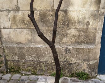 Driftwood floor lamp, decorative gift, home decor, living room, office, designer lighting