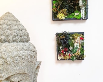Stabilized plant artwork FOREST with square frame, plant art for interior decoration made from preserved natural plants requiring no maintenance