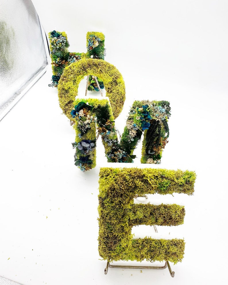végétal 5 lettres