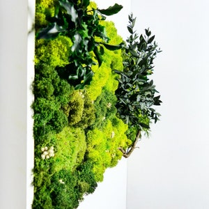 Tableau Végétal Stabilisé Panoramique de 39 à 1400 euros selon la taille image 7