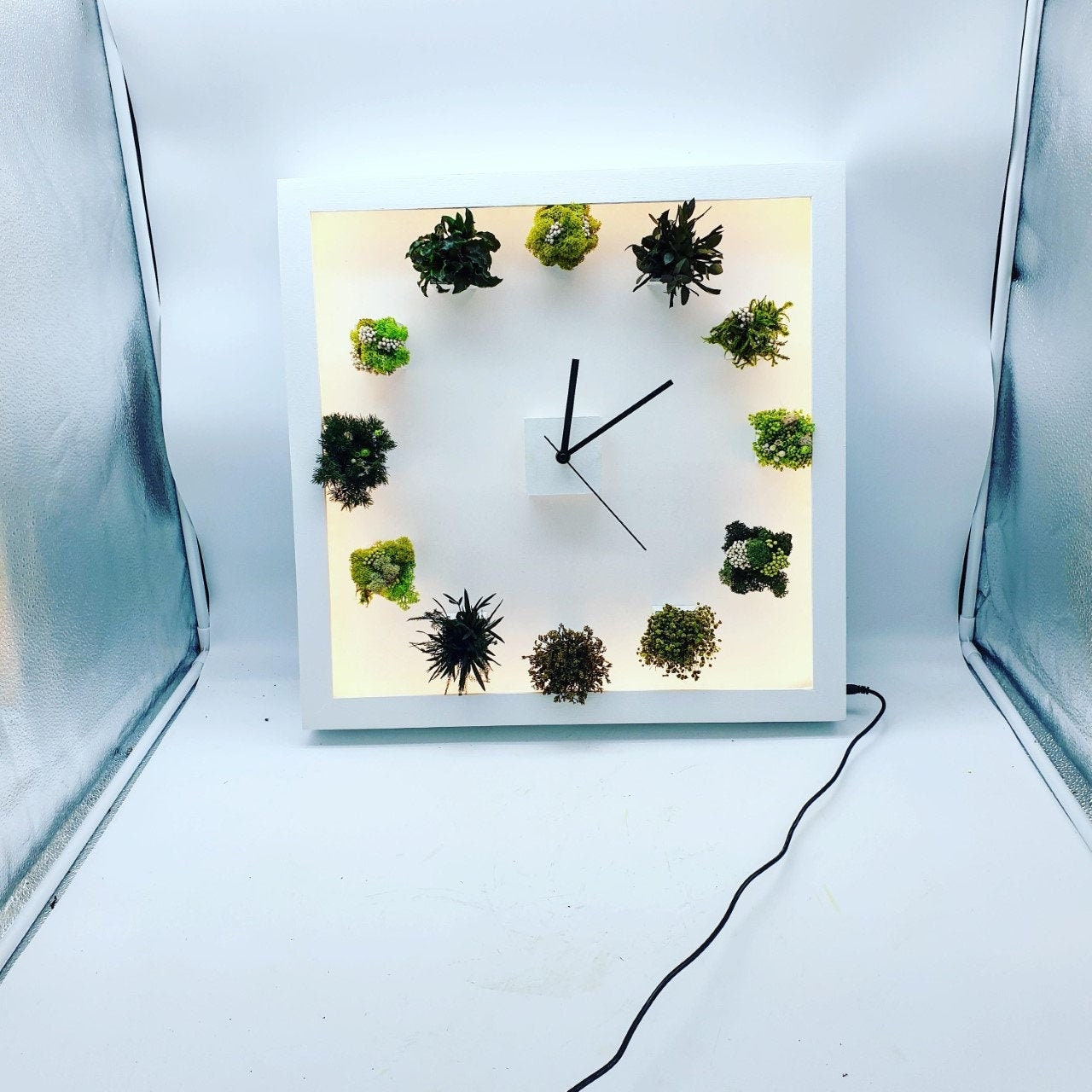 Horloge Végétale Stabilisée Lumineuse Led