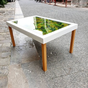 Peut inclure: Table basse blanche avec un plateau en verre et un piétement en bois. Le plateau en verre contient une couche de mousse verte.