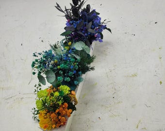 Fine preserved plant art for decorating walls, floors or tables; a great home gift idea for him or her.