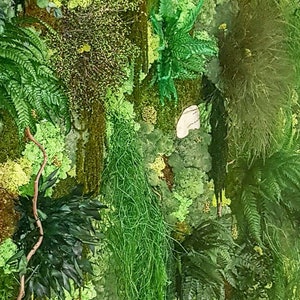 Tableau Végétal Stabilisé Panoramique de 39 à 1400 euros selon la taille image 9