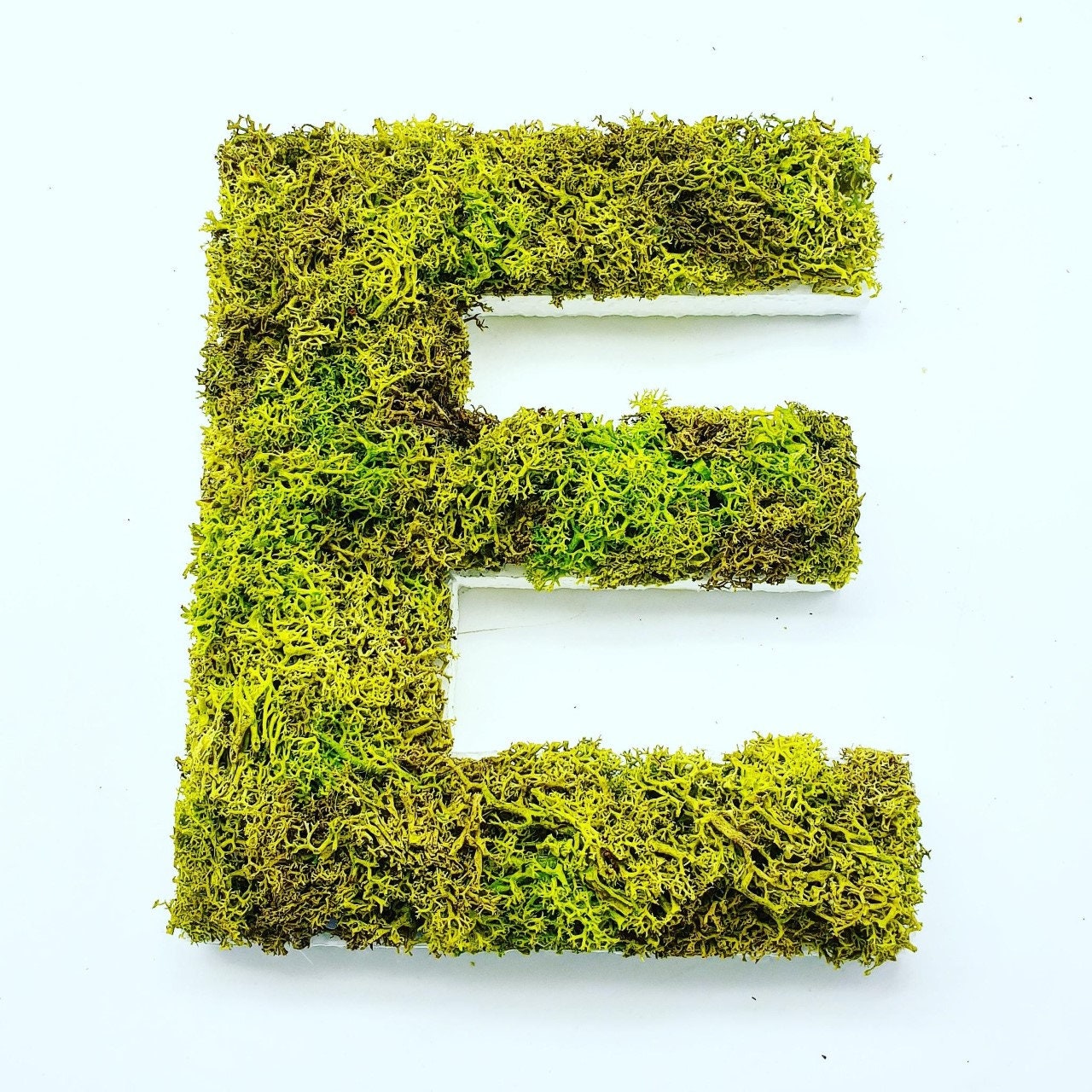 végétal 5 lettres