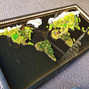 Tableau Végétal Mappemonde Stabilisé Rectangle