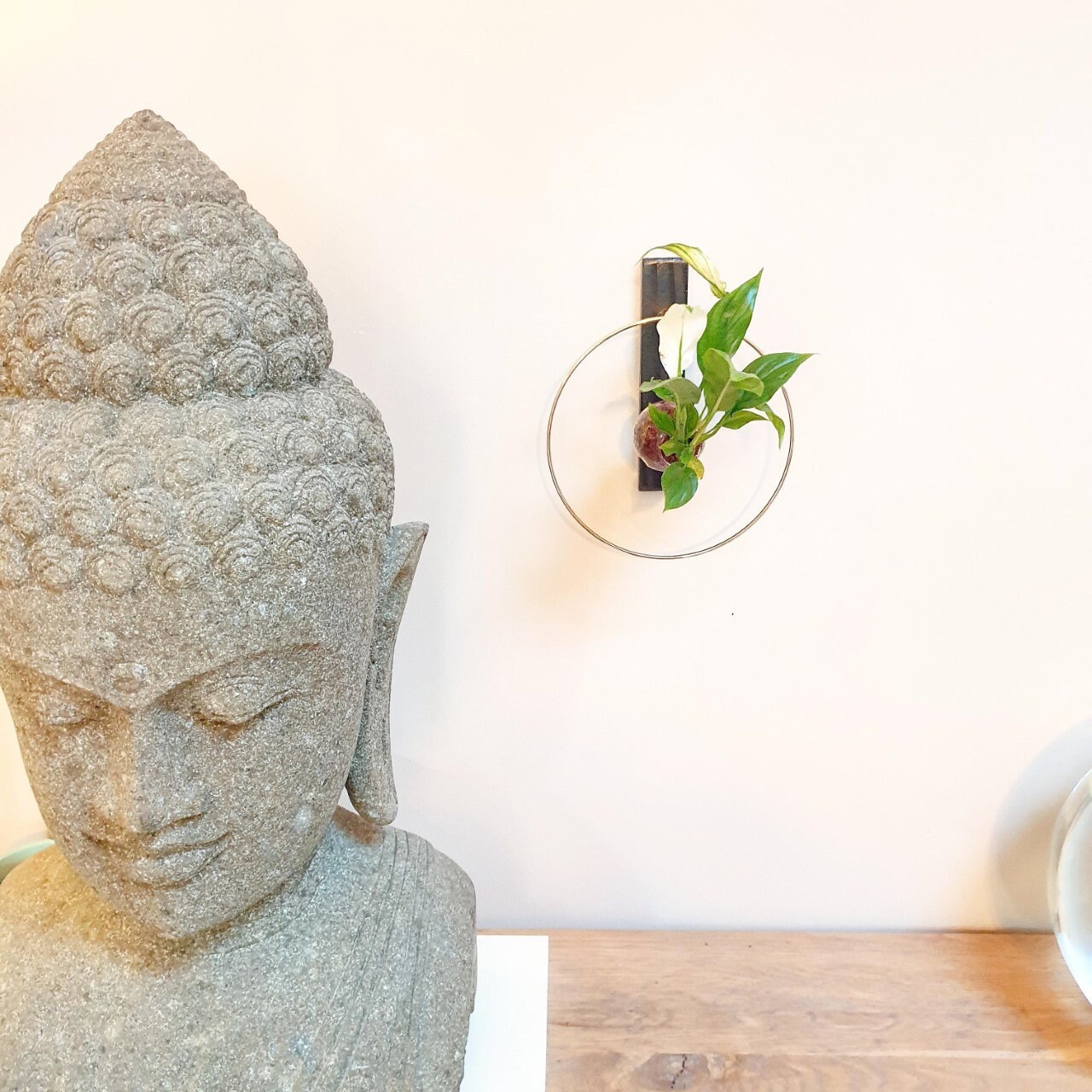 Terrarium Végétal Mural