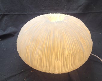 Coral lamp in transparent resin: create a soft light with this lamp, ideal for a refined interior. A gift for him and her.